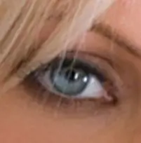 Human Vision: Facts, Mechanistic Models, and Principled Theories